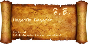 Hegedűs Bagamér névjegykártya